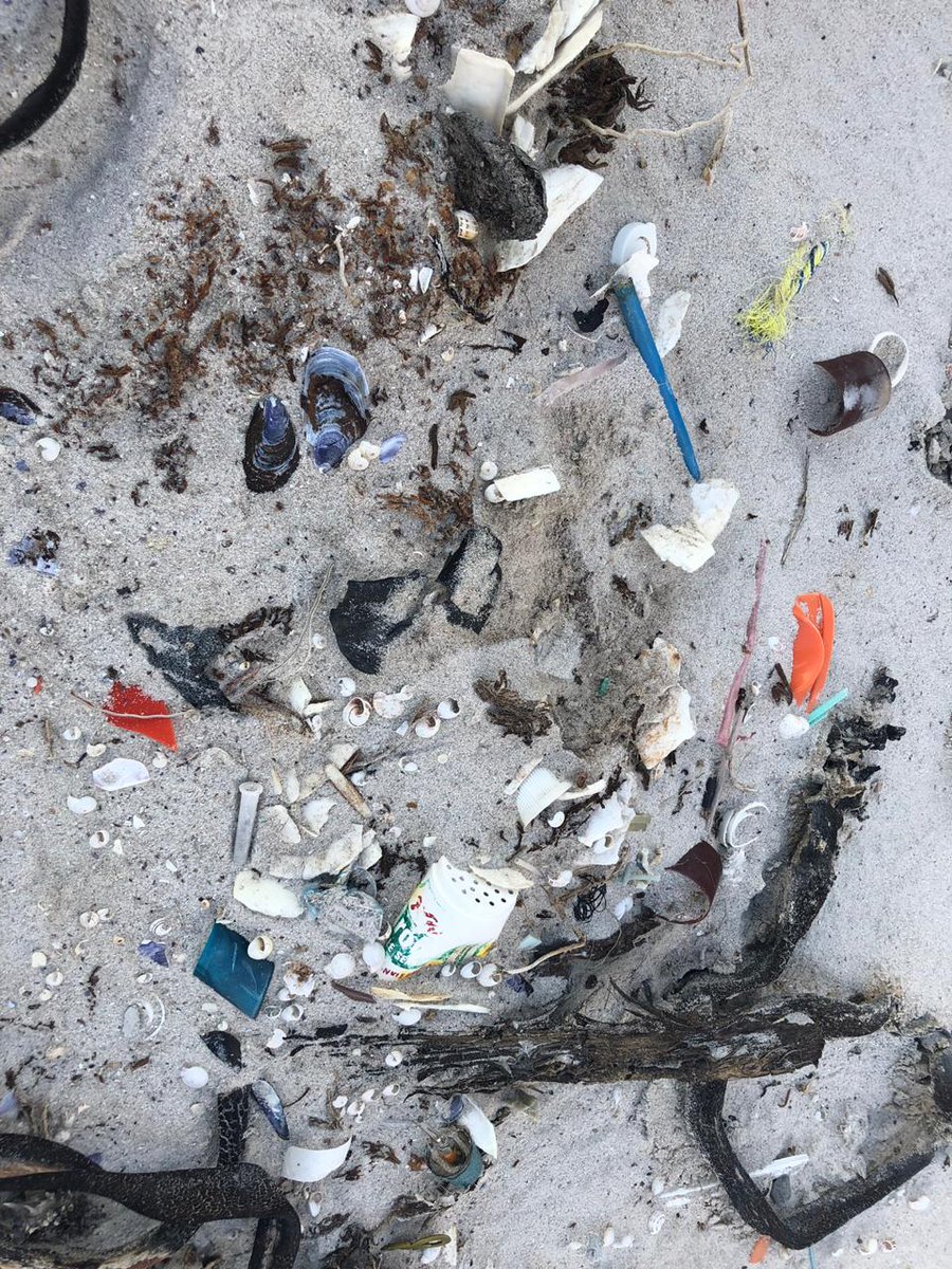 SonjaRay15's tweet photo. BEAUTIFUL Witsands beach after wind removed top sand layer and exposed old DUMP SITE. This is horrific. Who can help? #CapeTown #plasticpollution @environmentza https://t.co/neGHmbc5b5