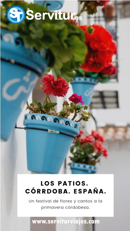 serviturtravel's tweet photo. Los patios de córdoba son una de las fiestas más importantes del Sur, se celebra en la ciudad de #Córdoba a primeros del mes de Mayo. Organiza tu viaje para grupos para conocer los #patiosdeCórdoba https://t.co/0VRz0NXMLj https://t.co/zEZnaDS2Mw