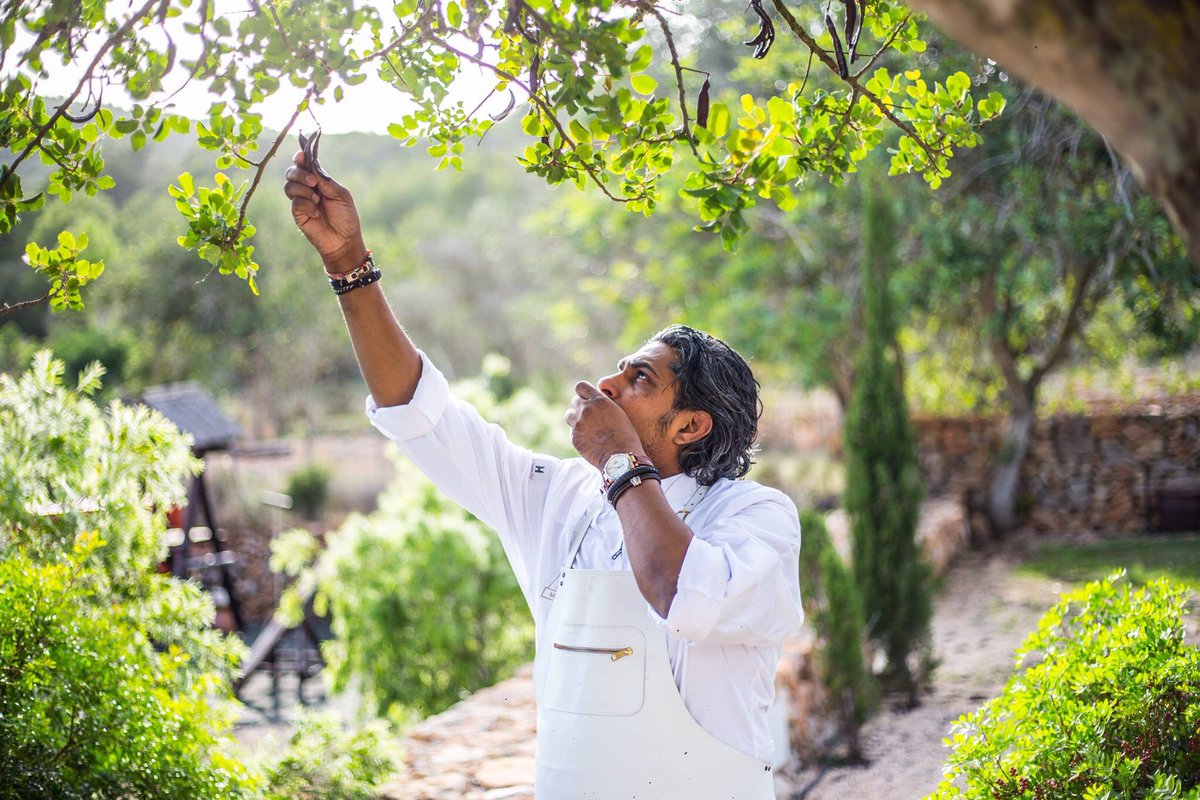 De Lindehof** kookt op de Velden! Het diner is reeds volledig uitverkocht... Bij de lunch zijn wél nog wat tafeltjes beschikbaar. Maar wacht niet te lang, want vol = vol! <a href="/SoenilBahadoer/">Soenil Bahadoer</a> aspergesopdevelden.nl #asperges #popup #restaurant #wittegoud #gezelligheid #outdoors