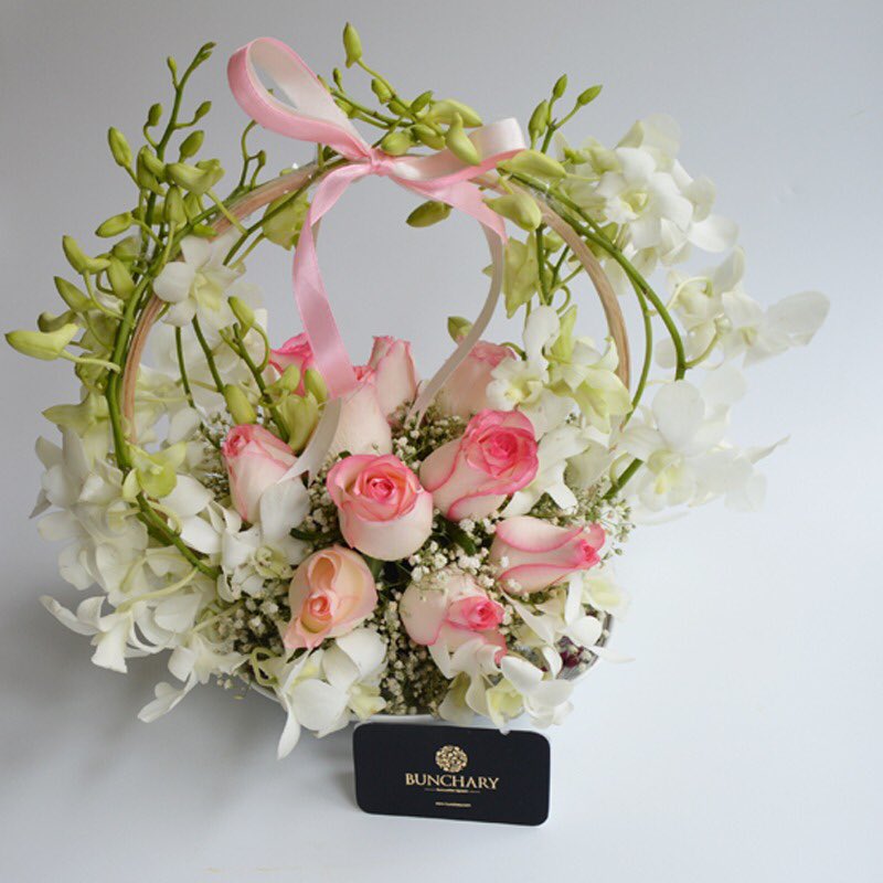 bunchary's tweet photo. Blushing beauties!
Contact 9319062468
https://t.co/tEdNpCDOdq
#southdelhi #delhiflorists #florist  #design #giftideas #gifts #flowers #delhi #noida #gurgaon #bunchary #giftingflowers #luxuryflorist #luxuryflowers #bouquet #stock #orchids #roses #fragrant #floweroftheday #bouquets https://t.co/RCZL0MPIVd