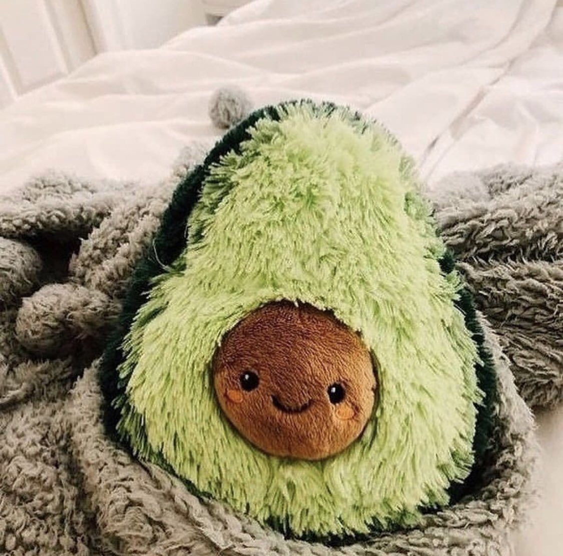 GossipRoomOff's tweet photo. Ces peluches toutes mignonnes ont été spécialement conçues pour tous les amoureux d’avocats 🥰🥑 https://t.co/TYUwa0ELh8