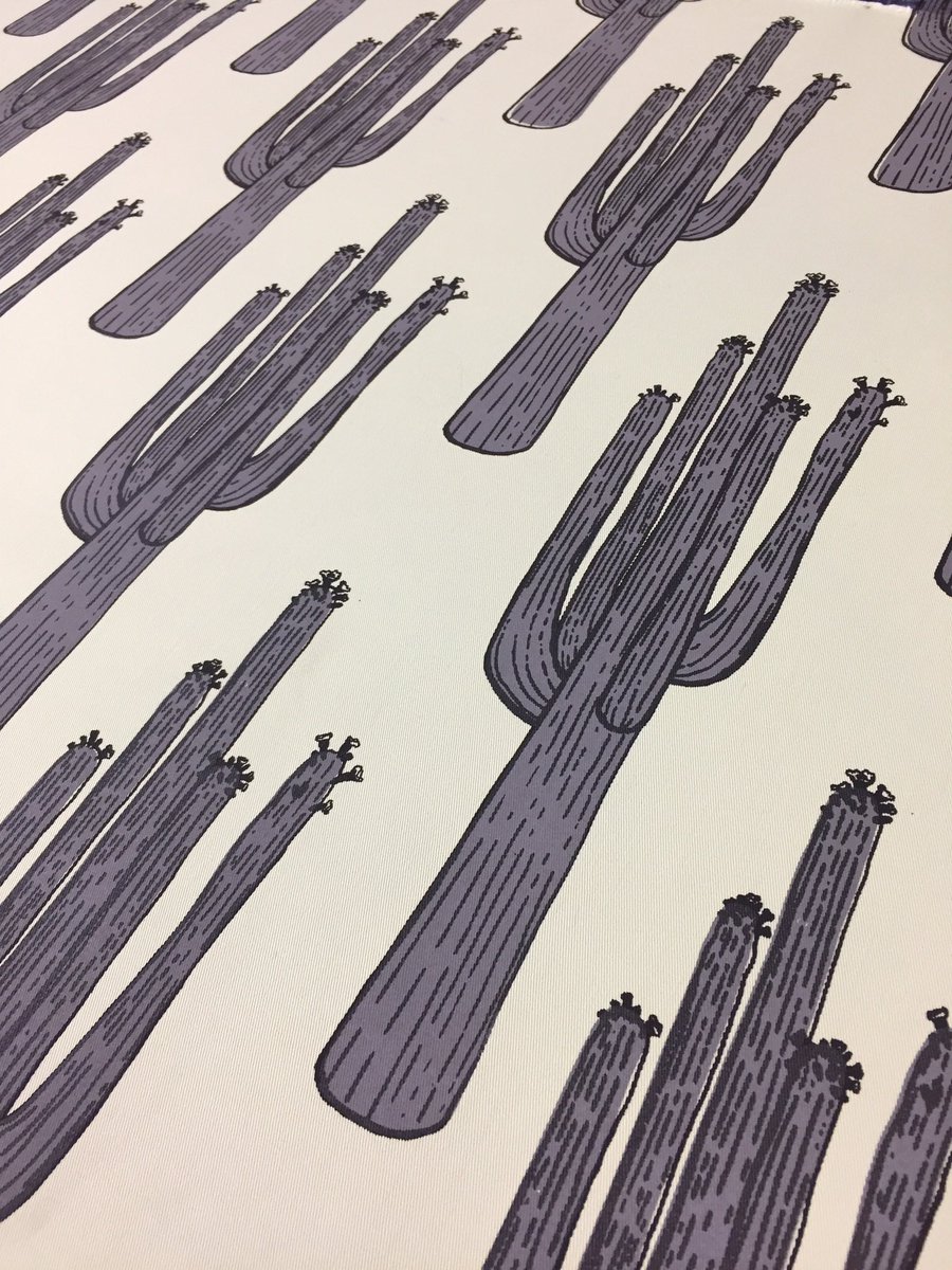 Julie Baratta tweet media