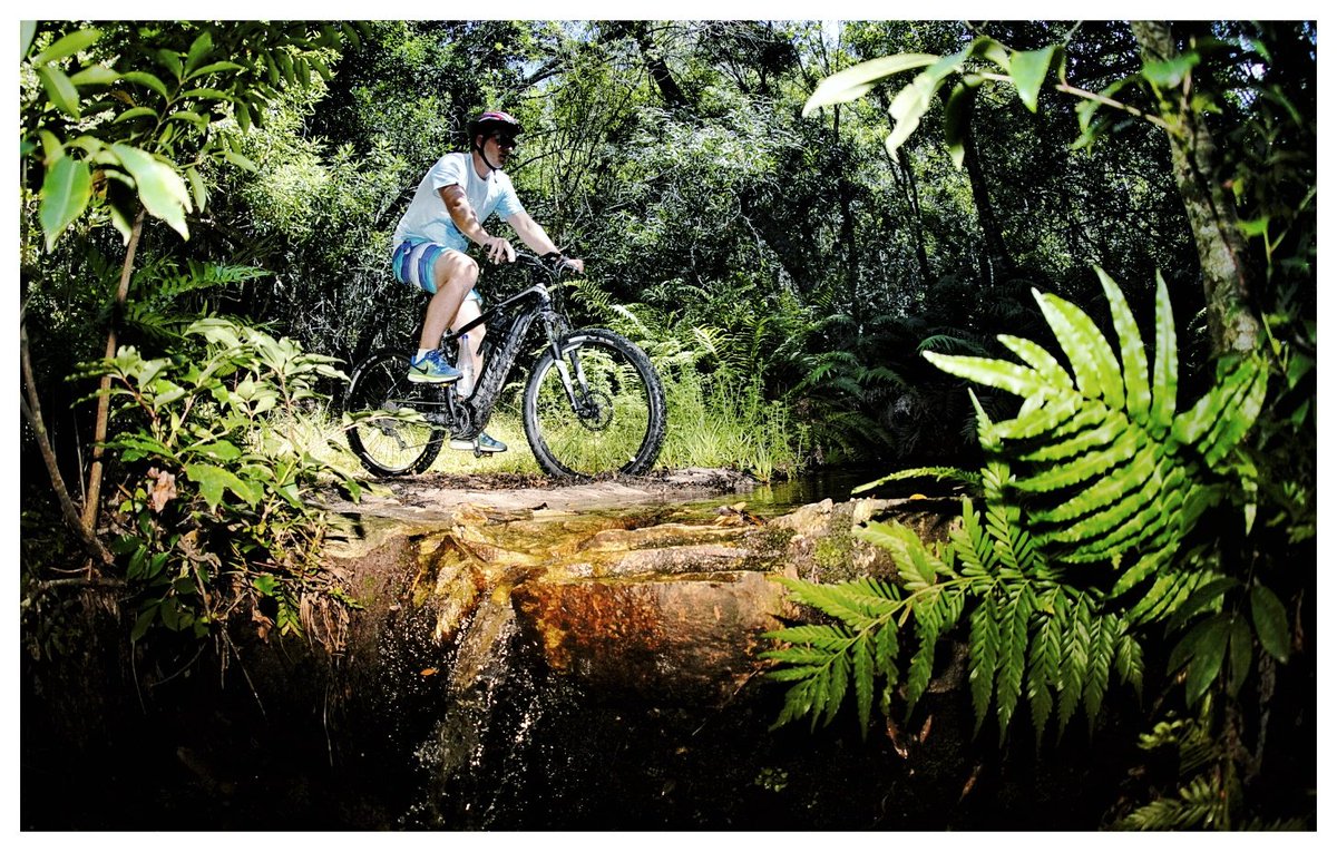 JacqMaraisPhoto's tweet photo. Classic SA #mtb trail. New level of easy-over #harkerville stoke on the @GiantRSA #ebike from @dirtopia 🙌🏻 // @PezulaHotel @OZone_africa @gotravelbug @GiantBicycle @ParkscapeSA @FrontRunnerZA @sealandgear @knysnatourism @KnysnaTravel #BornToRoam #discovernewpaths #AndBreathe https://t.co/pw94mLUOOI