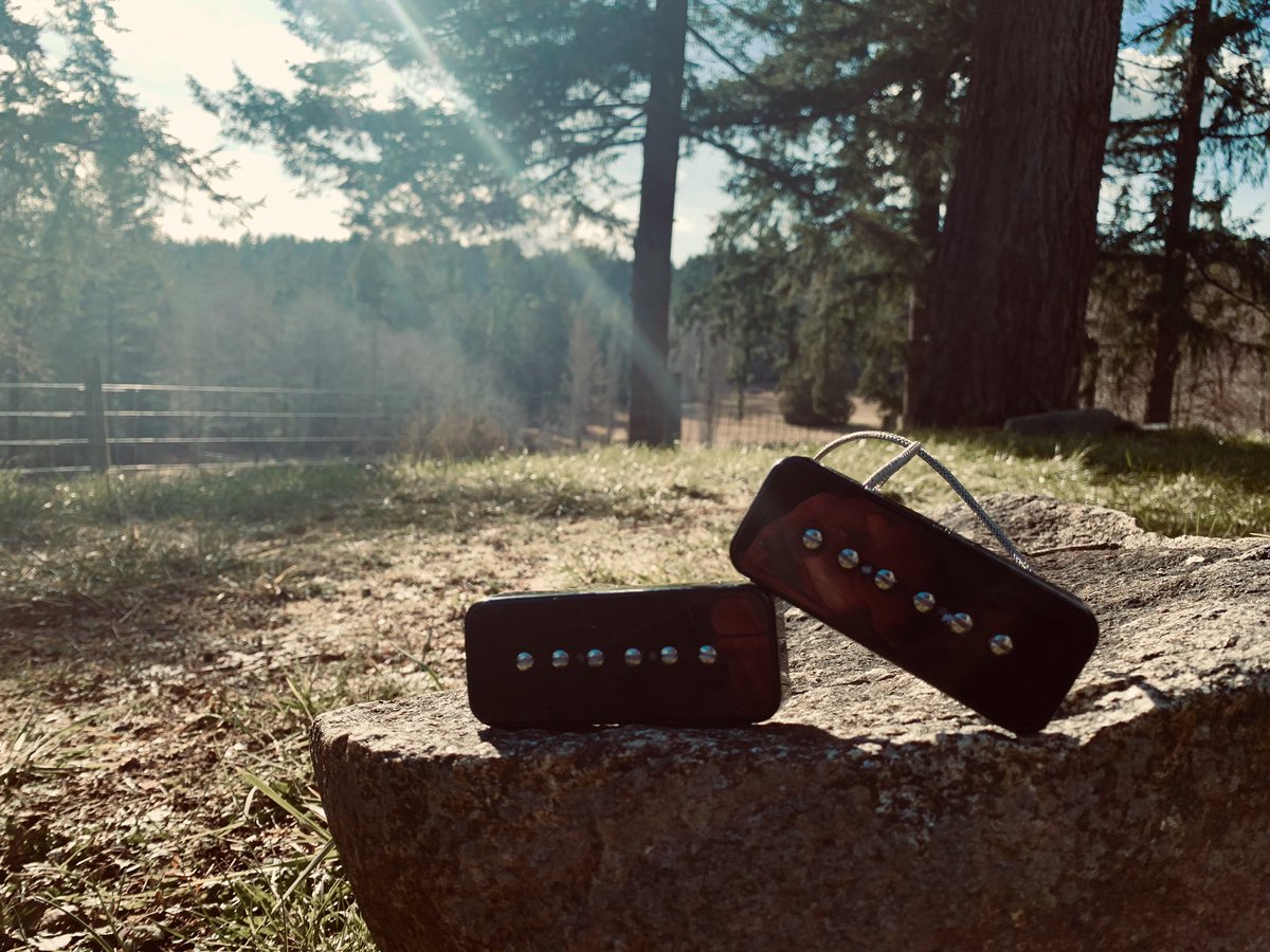 longhouseco's tweet image. The Big Dog P90 is our flagship noiseless P90 pickup. Tight lows, Punchy Mids, Singing Highs. #pickups #P90 #guitars #LonghouseCo