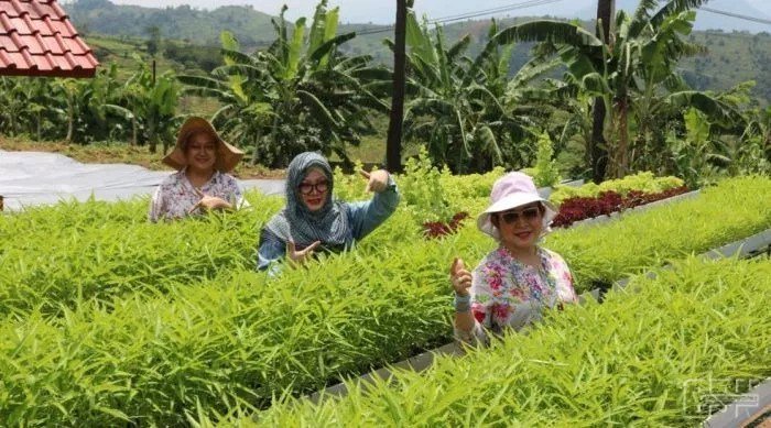 Tommy Soeharto Unggulkan Kemandirian Pangan dan Energi untuk Rakyat koranbanten.com/tommy-soeharto…