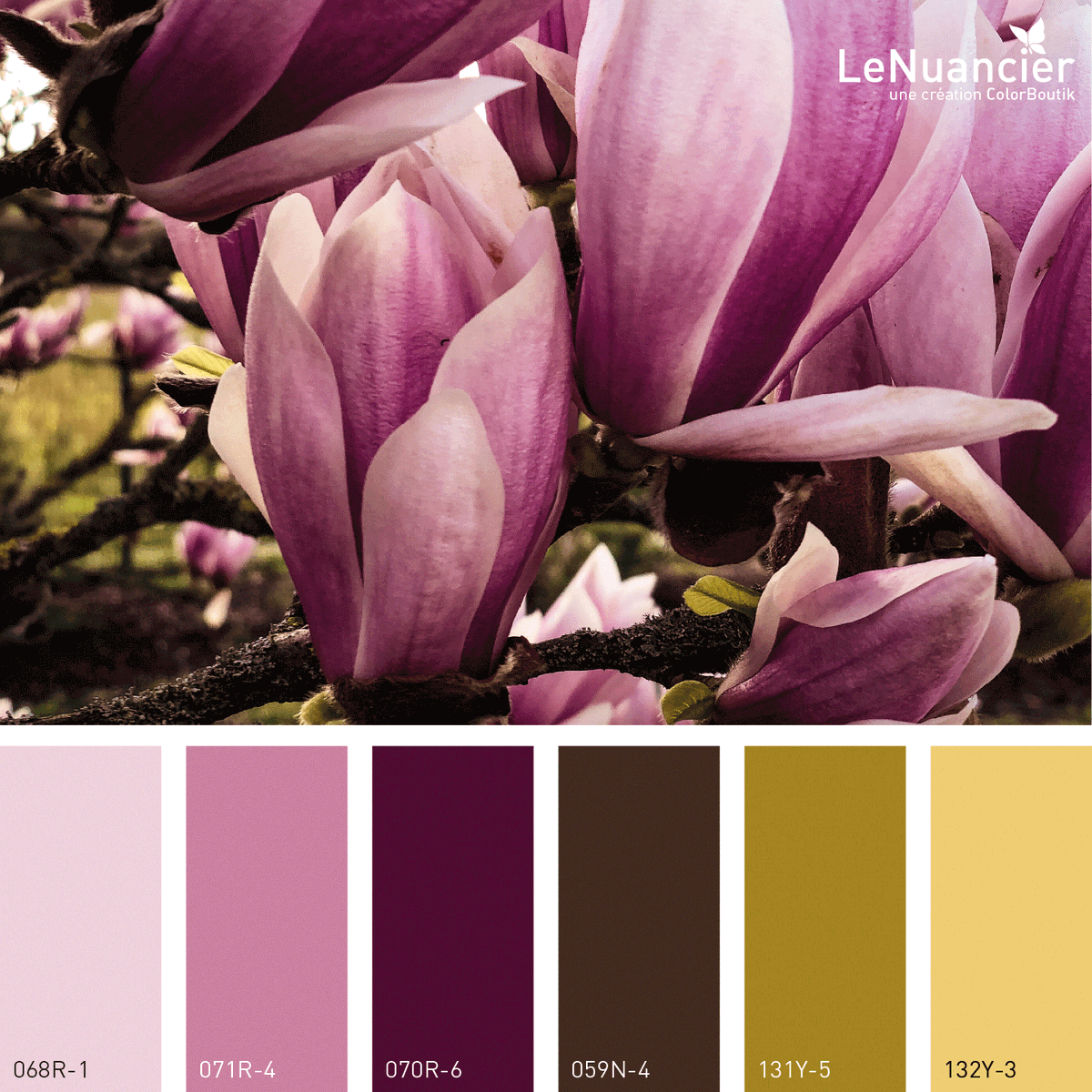colorboutik's tweet photo. The new "Magnolia" inspired palette by Colorboutik!
You can find these beautiful shades in our fandeck "Le Nuancier" 1241 decorative shades.

Colorboutik Inspiration "Magnolia"!
Vous pouvez retrouver ces couleurs dans « LeNuancier », 1241 teintes à usage décoratif.

#color https://t.co/AyxGE0RO8a