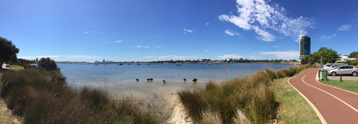 Rexemagne's tweet photo. Applecross foreshore Panoramic - Black Swans Applecross - Majestic Cove panoramic - Mt Pleasant (Dolphins 🐬) #RexTrex #SouthPerth #MtPleasant #DeepWaterReserve #eScooter 🛴 #Segway #Ninebot #WestAustralia #nofilter #Perth https://t.co/6sHRAq0ZHN