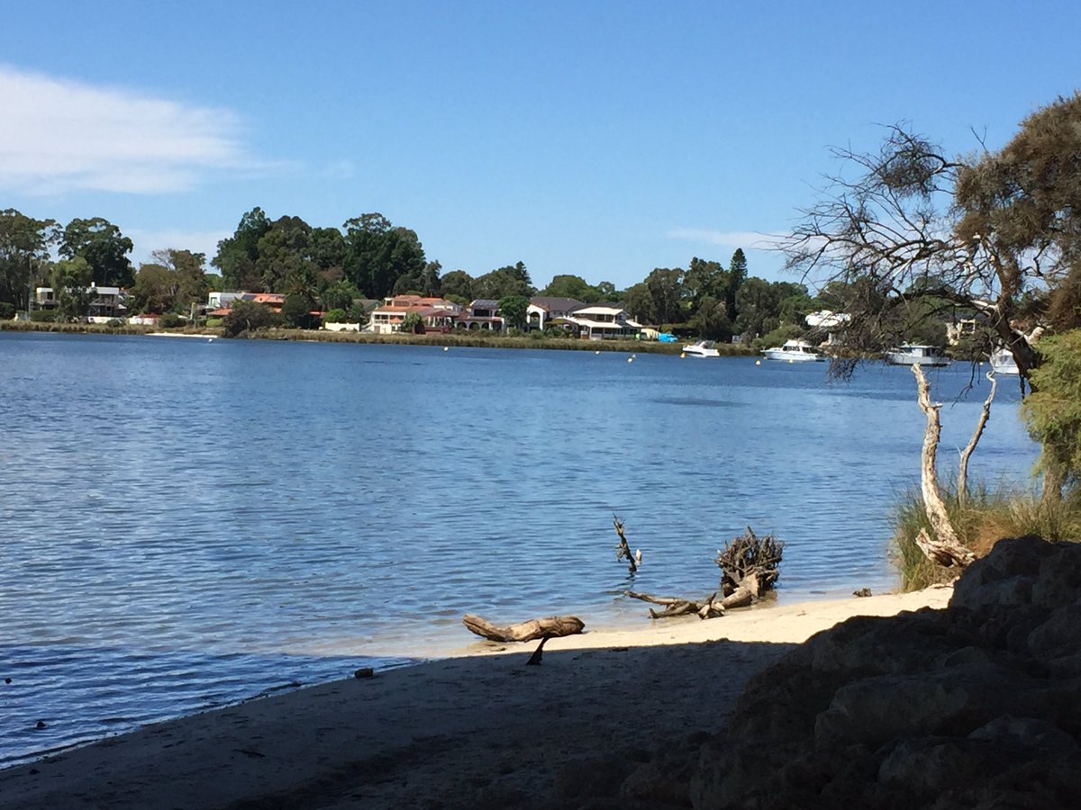 Rexemagne's tweet photo. Applecross foreshore Panoramic - Black Swans Applecross - Majestic Cove panoramic - Mt Pleasant (Dolphins 🐬) #RexTrex #SouthPerth #MtPleasant #DeepWaterReserve #eScooter 🛴 #Segway #Ninebot #WestAustralia #nofilter #Perth https://t.co/6sHRAq0ZHN