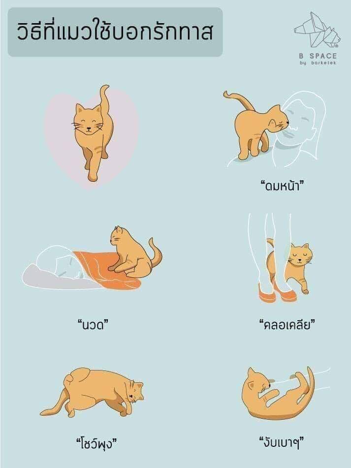 fffuujkkk's tweet photo. จรัมวรั้ยยยยยย https://t.co/9LUoTgktW1