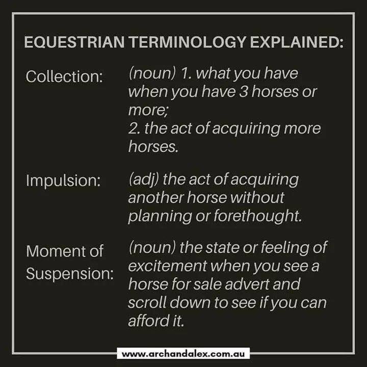 My clearly correct interpretation of #dressage terminology <a href="/equissimo/">Equissimo</a> @RowenBarbary <a href="/HorseBloggers_/">#HorseBloggers</a> @HorseChatHour <a href="/aponyhour/">#ponyhour</a> <a href="/riderhour/">#RiderHour</a> #knewit #iwasright