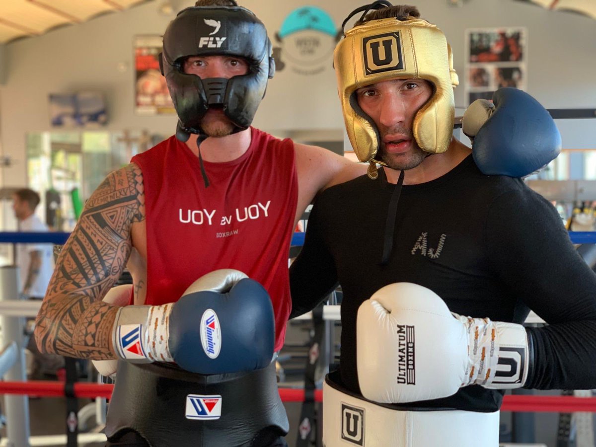 ultimatum boxing gloves