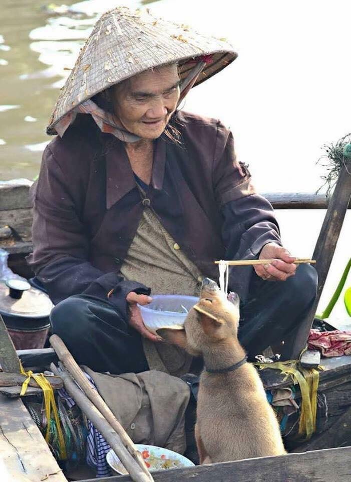 แพรจ๋าヾ tweet media