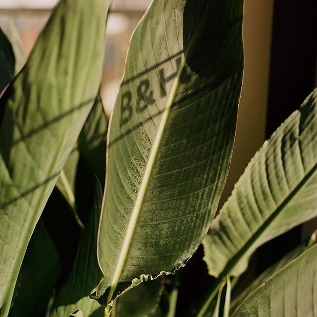 Dancing with the palms 🌴 ift.tt/2Cj8cFr