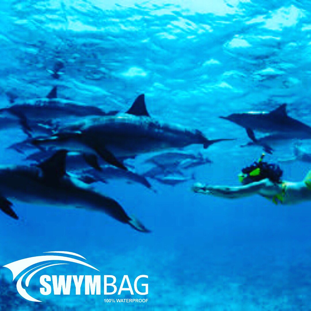 SWYMBAG's tweet photo. Swimming with dolphins in the wild is most definitely on my bucket list. What’s yours? We’ll make donations ocean conservation projects with all purchases🐬https://t.co/G7vZY1uWd3🐬#dolphin #conservation #beachlife #waterproofphonecase #ocean #bucketlist #underwaterphotography https://t.co/lLhdniprOU