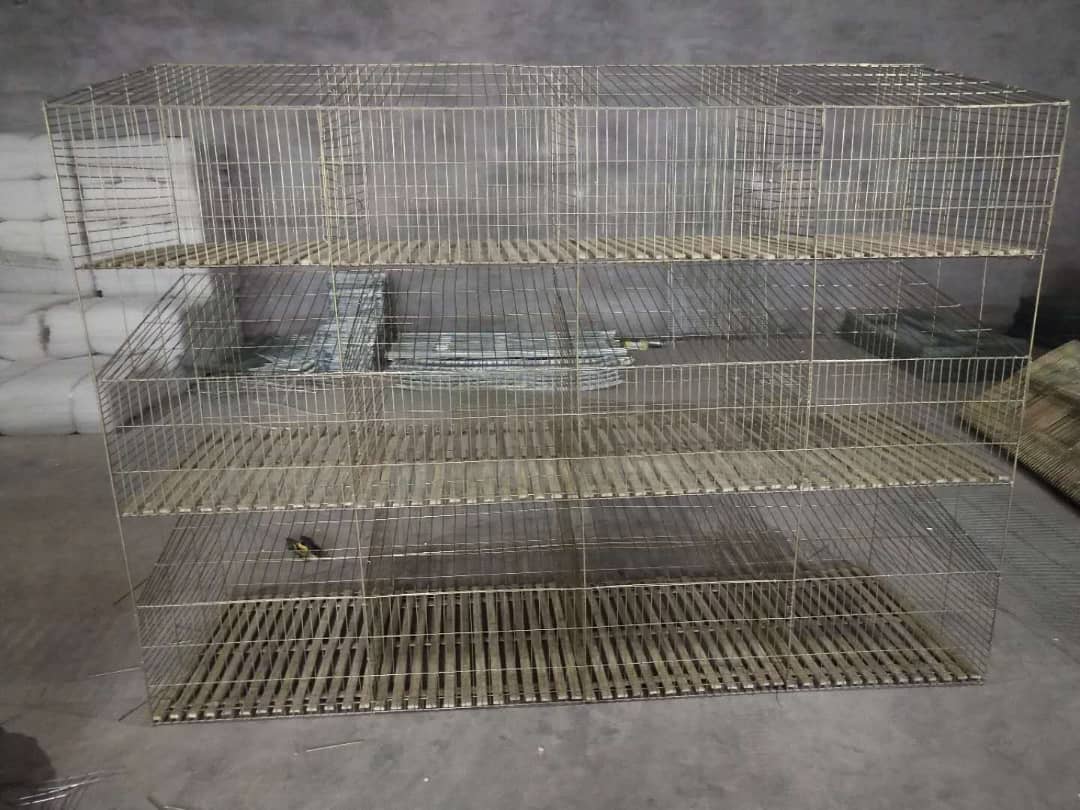 MifugoTz's tweet photo. Mother - Baby Rabbit Cage
#rabbitcage
Simu:
+255 712 253 102(WhatsApp)
+255 765 291 489
+255 625 994 023
Email:
mifugotz@gmail.com
@mifugo_tz
@kilimo_tz
@afyakiganjani
#mifugo #mifugotz #kilimotz #kilimo #drkessyvet #ufugaji #kuku #broiler #tanzania #incubator #kuroiler https://t.co/HyNCOgausv