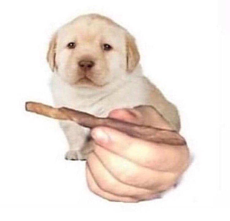 aidenlang_'s tweet photo. it’s 3:50am and i can’t stop laughing at this https://t.co/Uw0EfmhELL