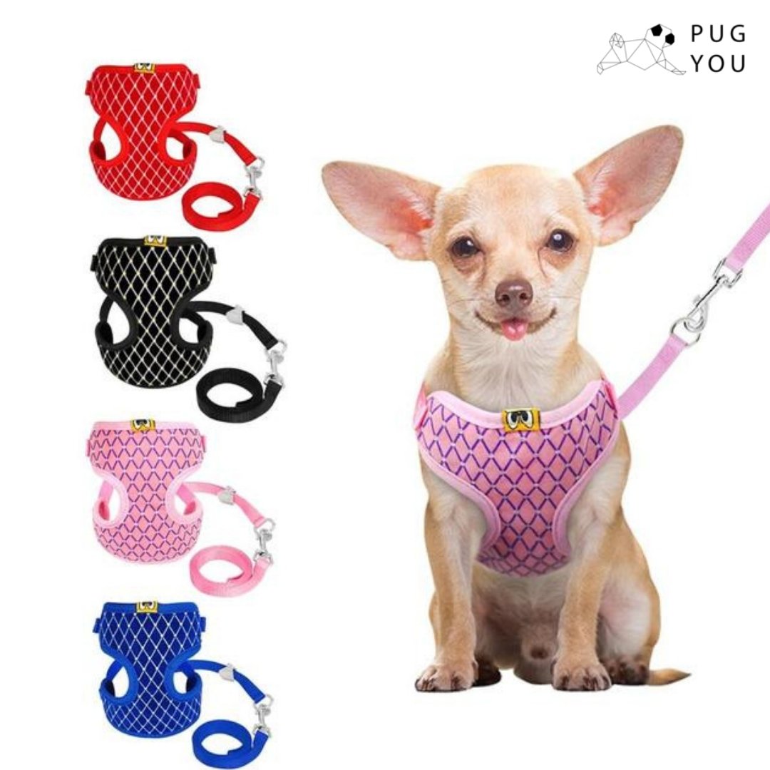 PugYouStore's tweet photo. If you love your pet, then you'll love to buy this cute breathable air dog harness set at great price!🐾
.
No-Pull and No Choke Easy Control...!!
🛒 Add to cart now 👉: https://t.co/9LEn12o21n
.
.
#PugYou #PugStore #Pug #PugForLife #PugItems #PugLover #PetLover #PugGifts #Pugs https://t.co/GzeTV1ssv0