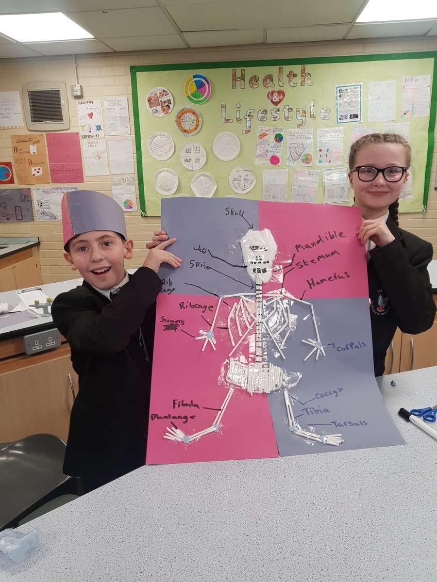 UHHSScience's tweet photo. And the winning skeleton... Well done guys 🙌👏💀 #humanskeleton #science #scienceweek #juniorscientists https://t.co/zbDBcRY7mm