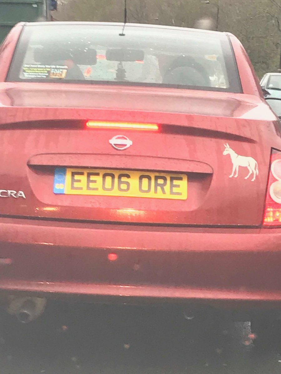 Shane Nicholson tweet media