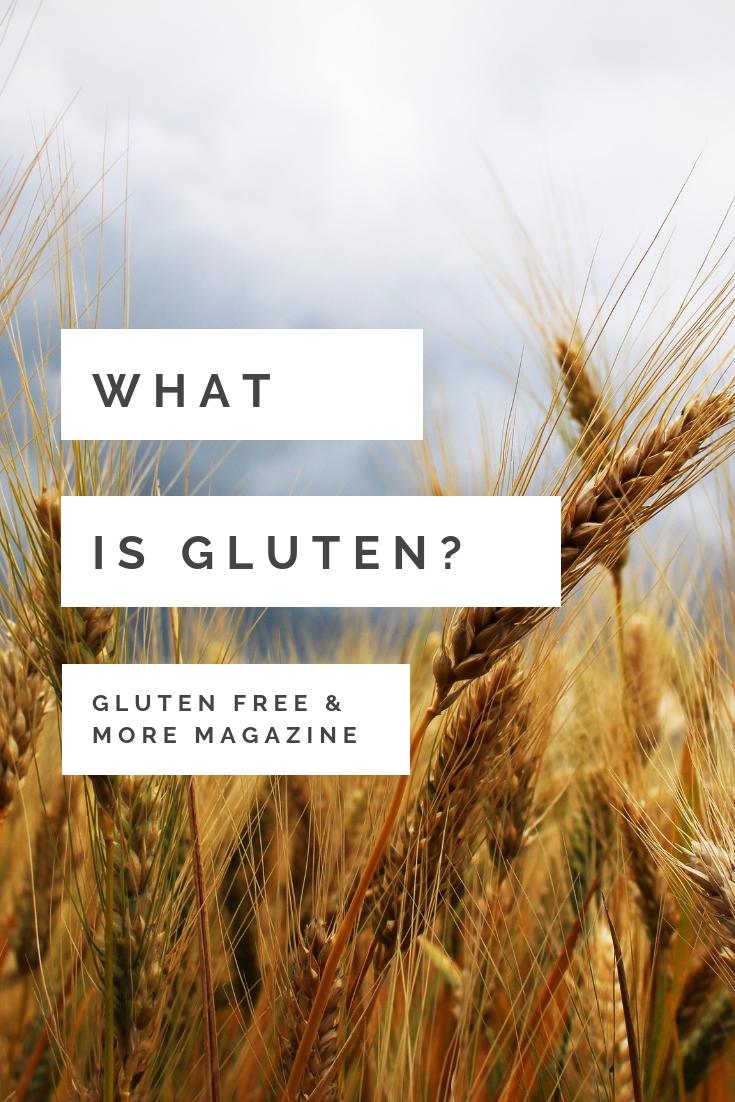 What IS gluten anyways? buff.ly/2Q85g2w
