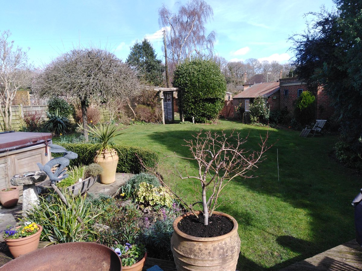 In Winchester today to carry out design. Tricky survey and weather a bit blustery. Asking a new local 121 contractor along at the end of the day to have a look. #design #landscape