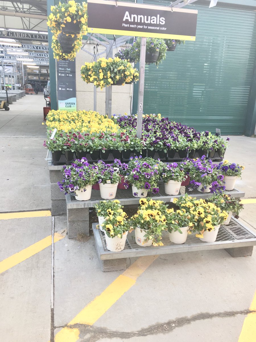 This morning at the Wood #2583 We ready. Spring we welcome you !!!! ⁦@818_CE⁩ ⁦<a href="/JoeZuniga1/">Joe Zuniga</a>⁩ ⁦<a href="/paulclymer/">Paul Wagner</a>⁩