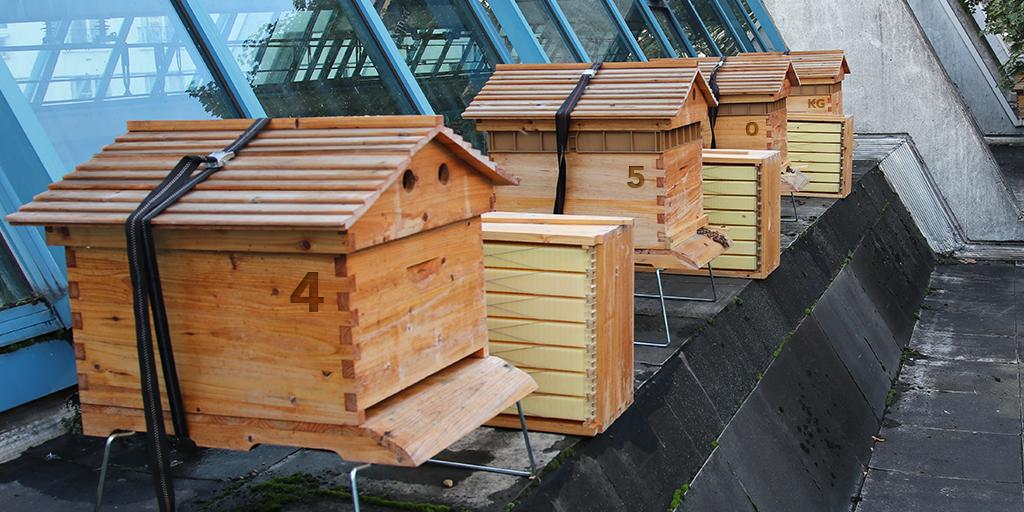 SNCFVoyageurs's tweet photo. [Alerte Curiosité 👀] Bien cachées sur les toits du @RERC_SNCF 👉les 30 ruches entretenues par @apiscivi ! 🐝
Selon vous, combien de kilos de miel produisent-elles chaque année ? 🍯
🔎 réponse dans la photo 😉 https://t.co/1GquY93Zh5