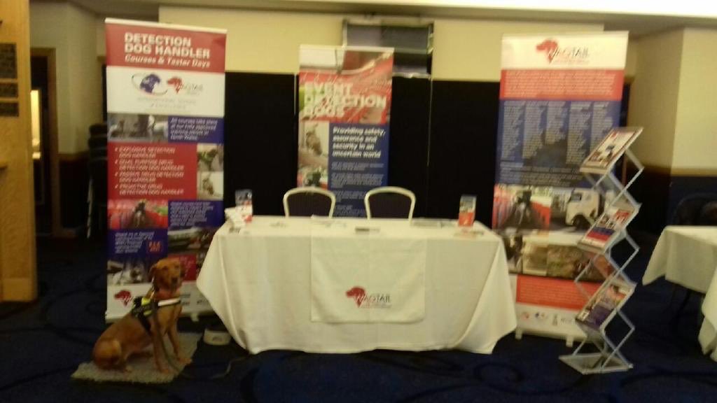 WagtailUK_dogs's tweet photo. We’re in Glasgow today at Hamden Park, with our Drug Detection Dog Timber for the @pathfindermag #ArmedForces recruiting event #recruiting #veterans #pathfindermag #armedforcescovenant #snifferdogs #careers #explosives #drugs #cash #illegaltobacco #ivory #pangolin #usethebest https://t.co/om3uoT6eVS