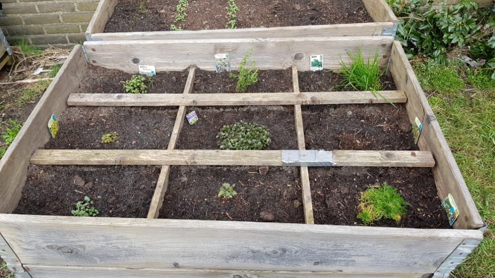 Nieuwe Stadsboeren (@nieuwestadsboer) on Twitter photo Zin om mee te helpen moestuinbakken lenteklaar te maken? Zaterdag gaan we samen aan de slag op de <a href="/wagenwerkplaats/">Wagenwerkplaats</a> tijdens <a href="/NLDOET/">NLdoet</a> iedereen van harte welkom! Er zijn nog moestuinbakken te huur dit seizoen incl starthulp. Leuk als je meedoet info@nieuwestadsboeren.nl Zin om mee te helpen moestuinbakken lenteklaar te maken? Zaterdag gaan we samen aan de slag op de <a href="/wagenwerkplaats/">Wagenwerkplaats</a> tijdens <a href="/NLDOET/">NLdoet</a> iedereen van harte welkom! Er zijn nog moestuinbakken te huur dit seizoen incl starthulp. Leuk als je meedoet info@nieuwestadsboeren.nl