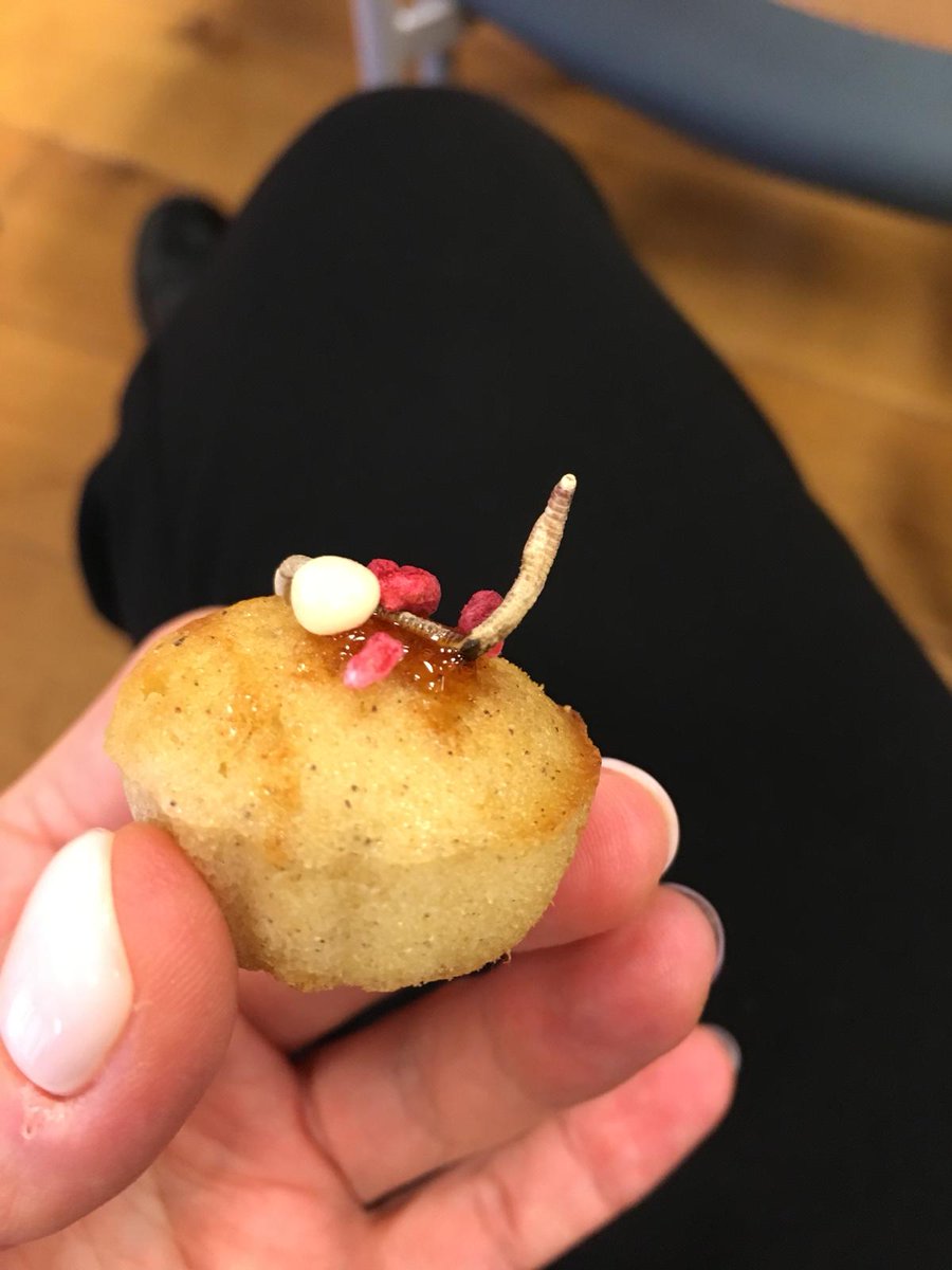 Dots starts #bioekonomikai Vidzemē! ej.uz/starts_bioekon…
#VidesRisinājumuInstitūts #VidzemesPlānošanasReģions #RDI2CluB #Interreg #BSR #bioeconomy #awareness #circular #innovation #future