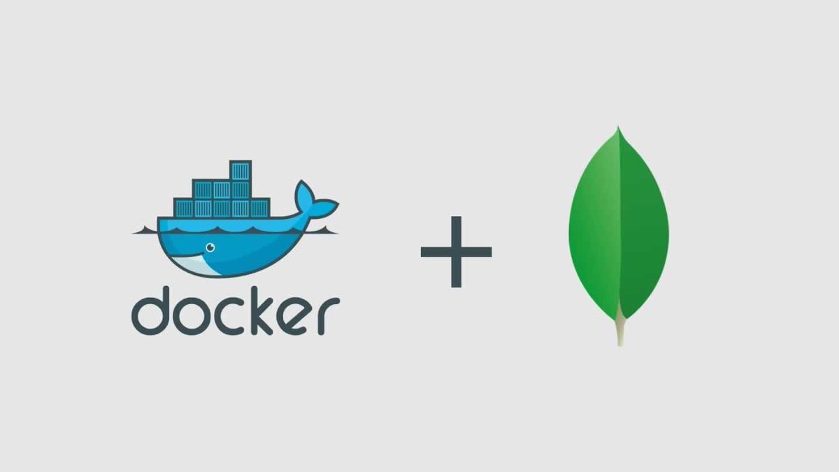 Developer_Mongo's tweet image. Getting Started With MongoDB As A Docker Container...
☞ codequs.com/p/rJer5CTNE?ut…
#mongodb #MongoDb
VsX6A7XR4J