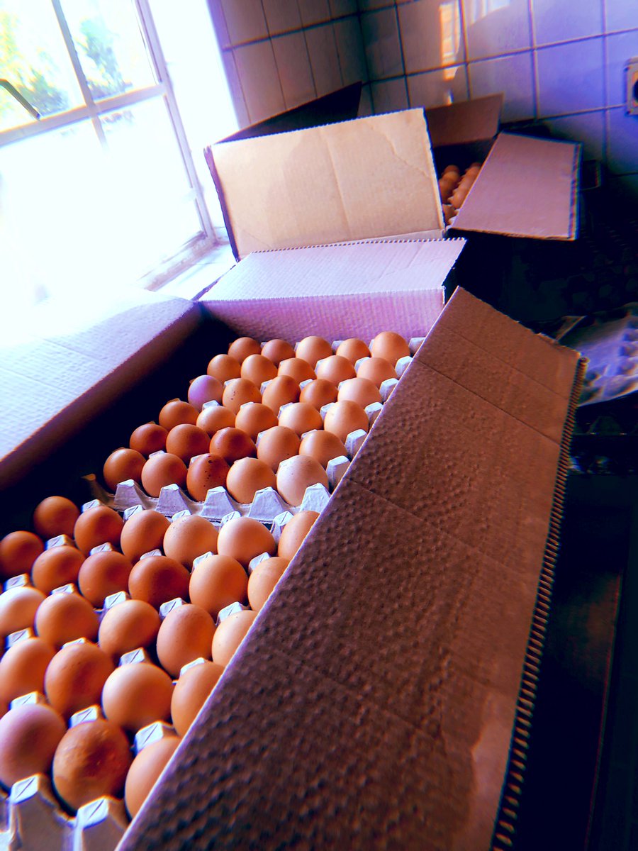 tsholo_dikobe's tweet photo. Farm girl. Deliveries done! 😀Feeding primary school pupils ☺️🙂 https://t.co/M3QqfpdAq8