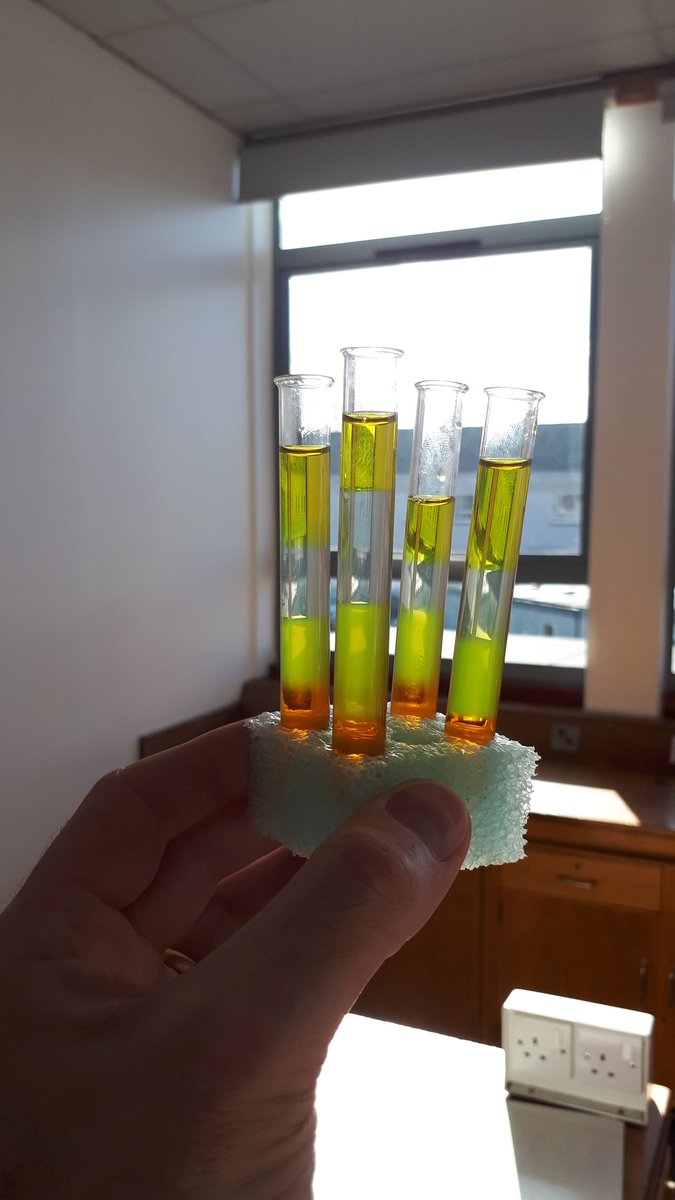 GWC_Physics's tweet photo. Loving some mini density columns today. #floatingonwater https://t.co/H2GPJjaqvg