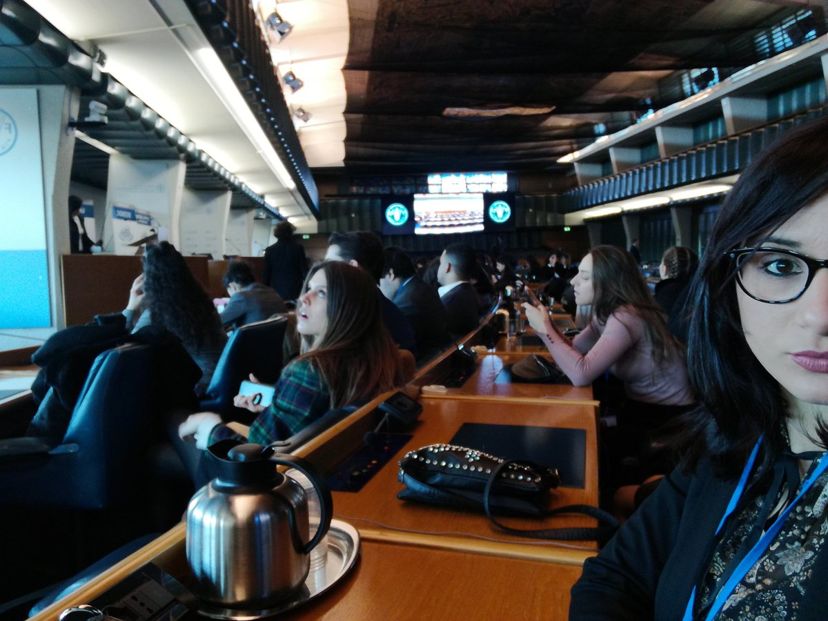 GaiArtemisia's tweet image. #munrome2019 #FAO #UNsimulation #ONU #UNESCO #closingceremony