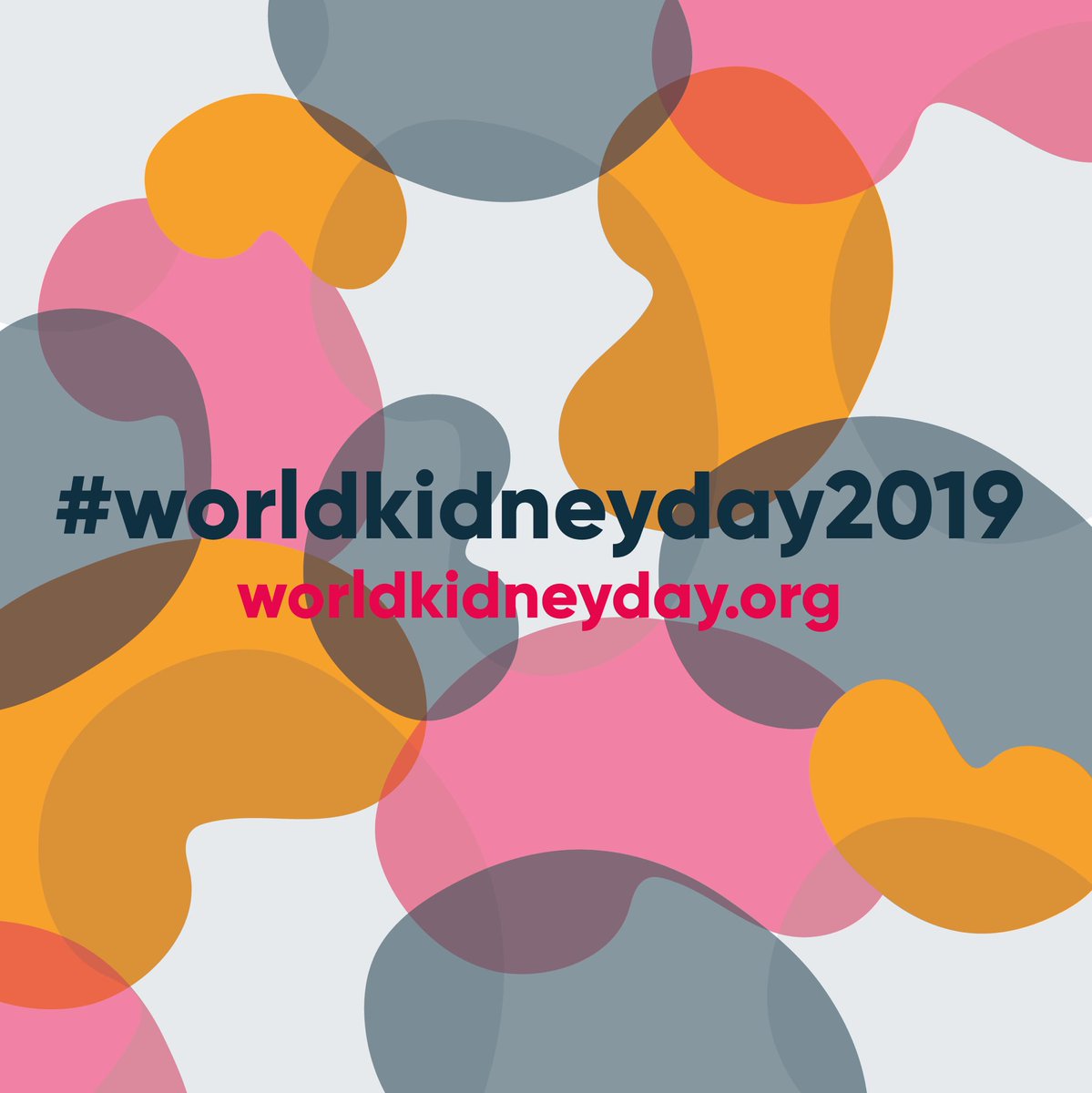 EnzymeComms's tweet image. Did you know? The average adult kidney contains about 1 million nephrons - the functional unit of the kidneys. #WorldKidneyDay2019 #kindeys #DidYouKnow