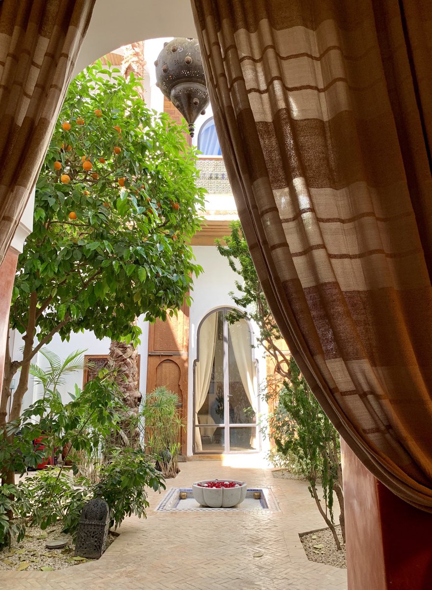 IndigoTours's tweet photo. When—not if—you travel to #Morocco (with us or others or independently), you will, you must, stay in a #riad or #dar. A mini-palace resplendent with Moroccan #craftsmanship and a courtyard with #atmospheric #fountain or fragrant #garden or #plunge #pool. e.g. #riadlorangeraie https://t.co/951SMaLupg