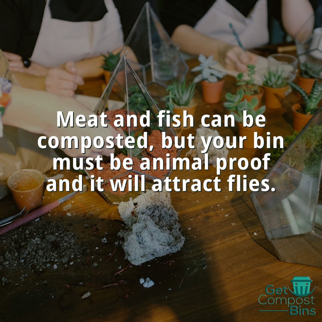GetBins's tweet photo. Meat and fish can be composted, but your bin must be animal proof and it will attract flies. #compost #composting #gardening #organic #vegetablegarden #raisedbeds #garden #soil #environment #sustainability #growfood #organicgarden #raisedbedgarden #urbangardening #gardentips https://t.co/ihQiKYuf0p