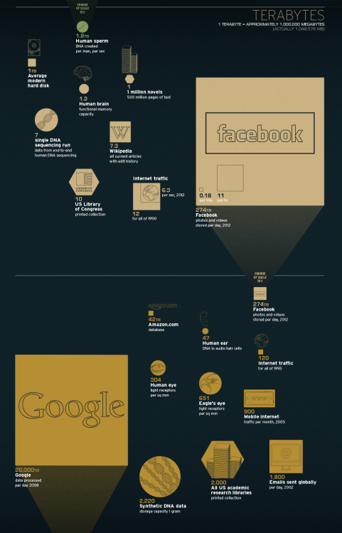 timottowrites's tweet photo. From #megabyte to #yottabyte – this one is great.

Full version here: https://t.co/45ORStBL4O https://t.co/cU5eoSAvGk