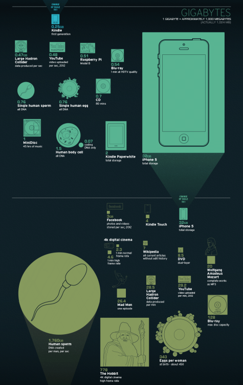 timottowrites's tweet photo. From #megabyte to #yottabyte – this one is great.

Full version here: https://t.co/45ORStBL4O https://t.co/cU5eoSAvGk