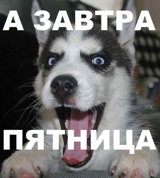 Коллегам, прикольные картинки а завтра пятница