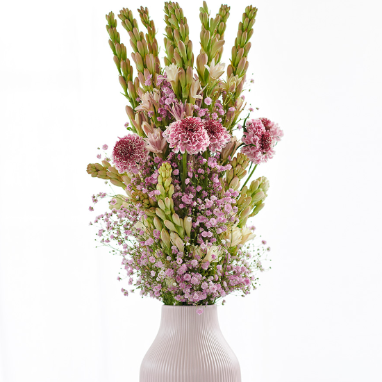 TcBrekelmans's tweet photo. Als je echt een geurstatement wilt maken, dan kies je voor Tuberoos (Polyanthes tuberosa). De geur van deze witte tot lichtroze aarvormige bloem is niet te missen! #goedemorgen #dagvande1000voorbeelden #bloemist #cadeautip https://t.co/MalzG6PoWM