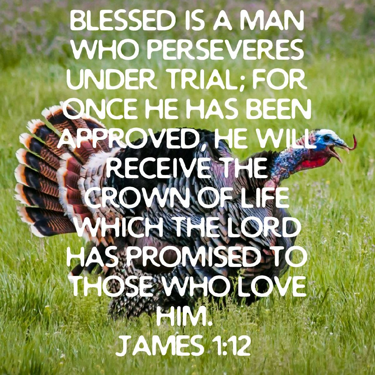 SportsmanforGod's tweet photo. https://t.co/IUpeDvwVtf