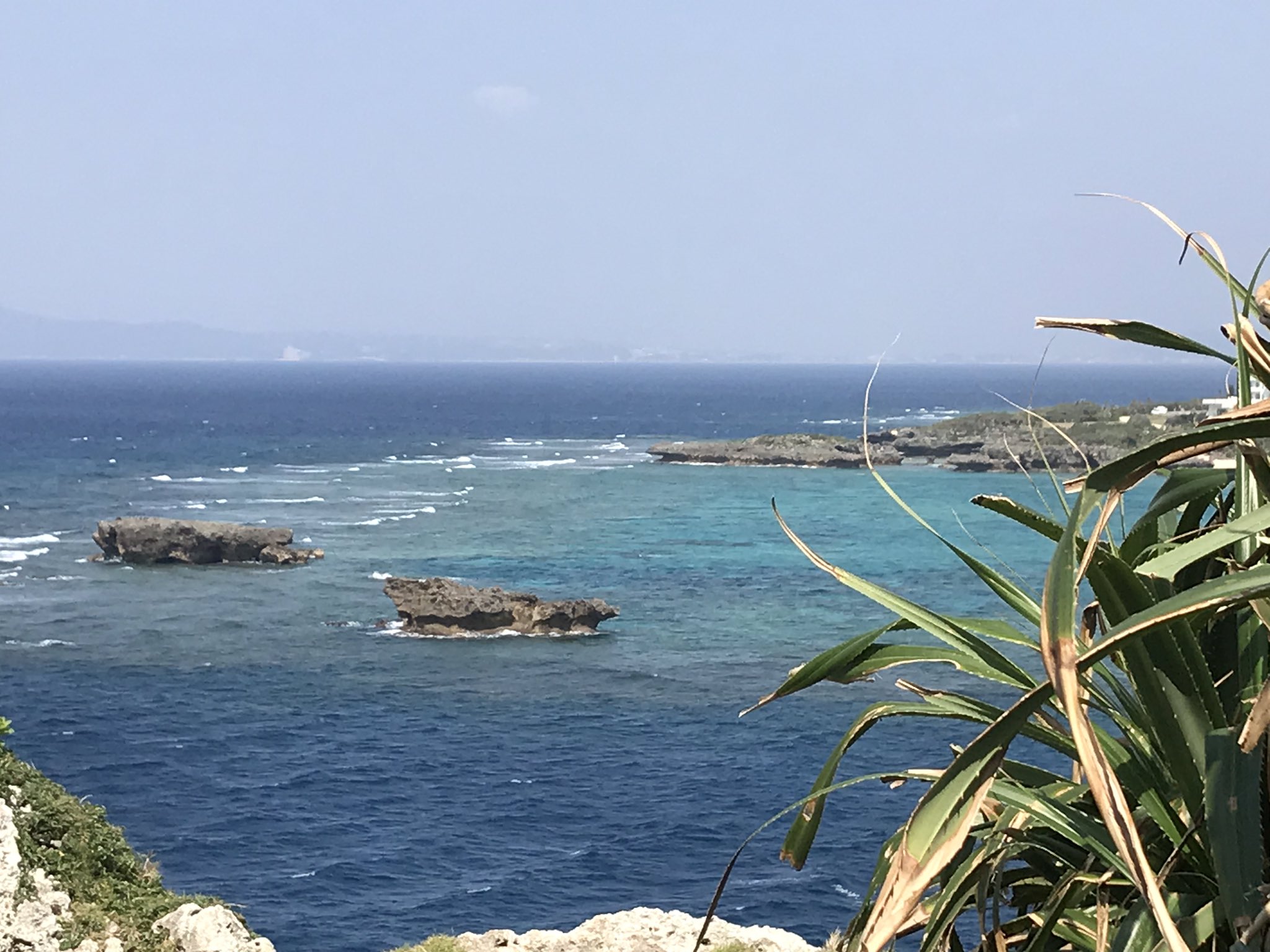 えび 沖縄移住 万座毛 沖縄 沖縄旅行 沖縄旅行計画 沖縄好きな人と繋がりたい 沖縄の海 海好きな人と繋がりたい 海 浜辺 波 おきなわ Okinawa 沖縄ライフ 沖縄生活 Okinawalife 沖縄県 沖縄観光 沖縄離島 カップル旅行 沖縄移住 沖縄