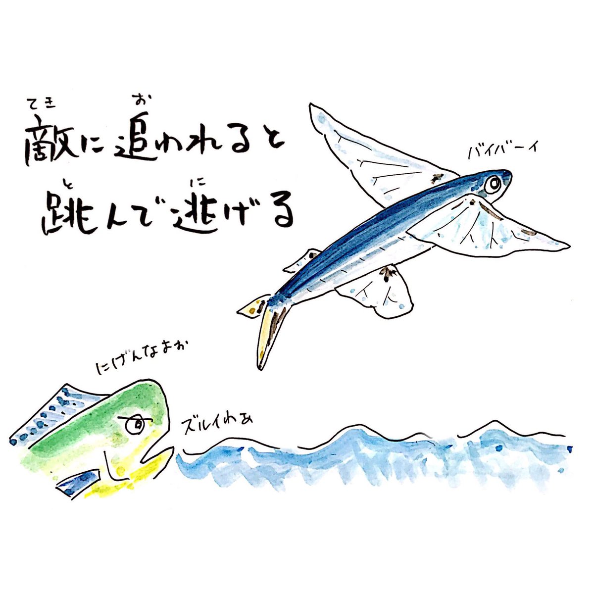 トビウオはひとっ飛びで新幹線16車両を飛び越える。 #さかな四コマ