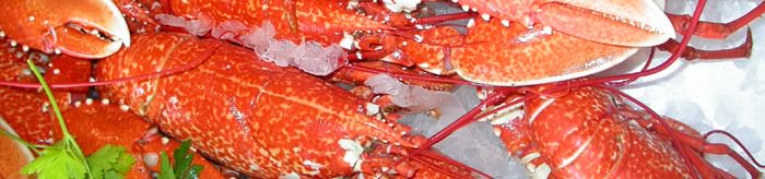 MWCMarine's tweet photo. What do you think of #BuyOneSetOneFree? @PadstowLobster is asking seafood suppliers/restaurants to encourage customers to help the NLH raise &amp; release baby lobsters into the sea &amp; promote #sustainable #fisheriesmanagement through a 'unique' donation scheme https://t.co/MsfMHSDU0w https://t.co/gpMoEl5nir