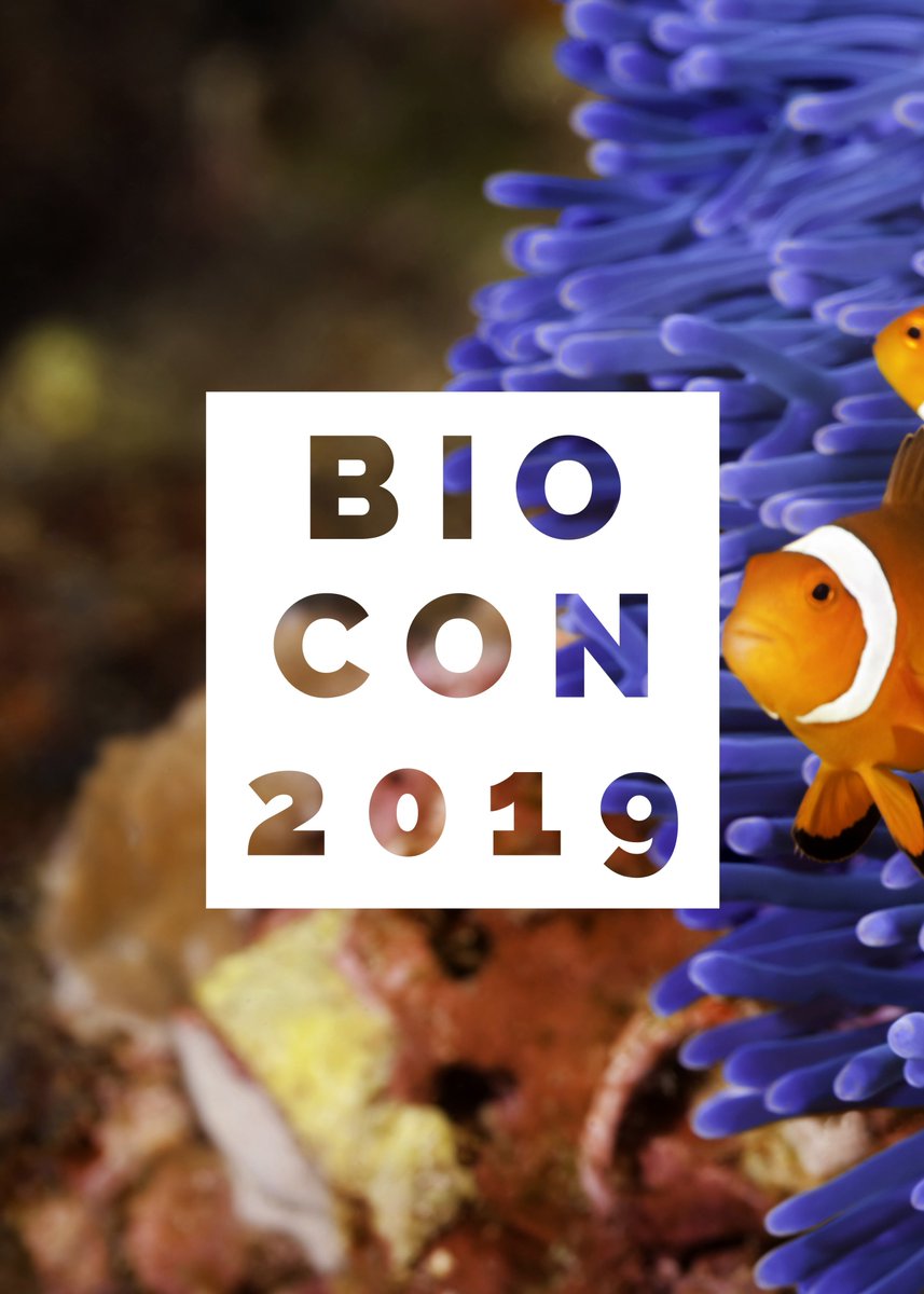 bio_exe's tweet photo. 👏👏👏👏Big shout out to @Steve_D_Burrows for designing the #BIOCON2019 posters you've seen adorning the halls. 👏👏👏👏 (1/2) https://t.co/MZI6Lb1j06
