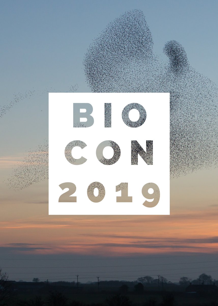 bio_exe's tweet photo. 👏👏👏👏Big shout out to @Steve_D_Burrows for designing the #BIOCON2019 posters you've seen adorning the halls. 👏👏👏👏 (1/2) https://t.co/MZI6Lb1j06