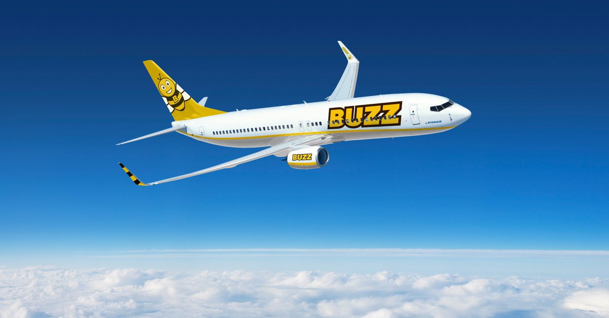 Buzz tweet media