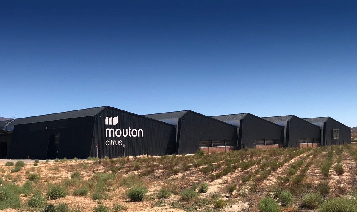 Stefan Rademan tweet media