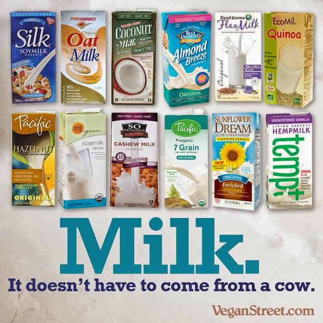 active_smooth's tweet photo. This year will be focus on the health being and the animal cause. For that we have created a partnership @I_Scream4Ice in order to show you that we can have some tasty flavors but without animals' proteins! #VEGAN #Smoothactive #SaveAnimals🍹🐮🍌 https://t.co/dlkmXFSW5b